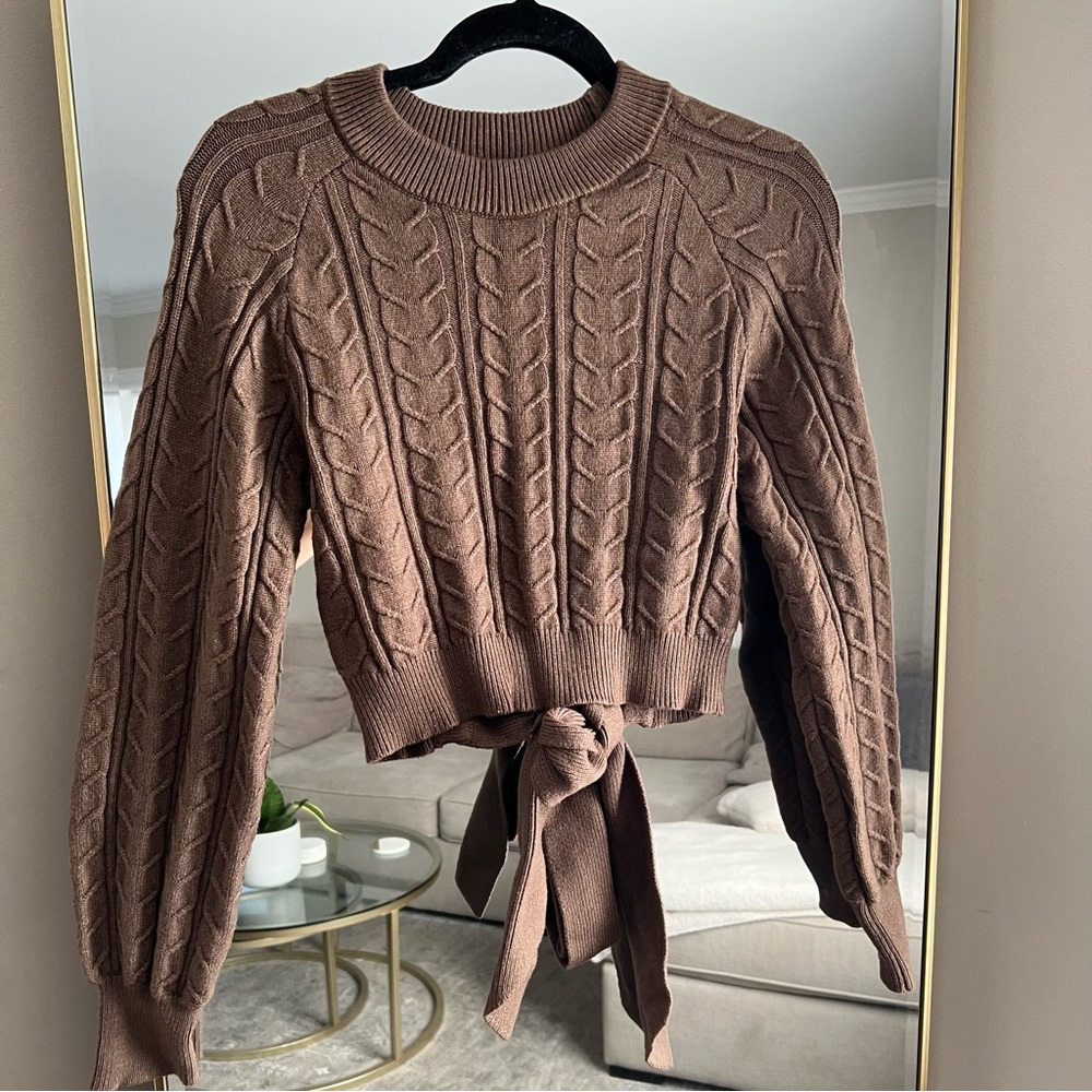 Brown Crew Neck Sweater with Cable Knit and Open Back Detail - Picture 3 of 4